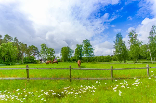 如画的风景，在瑞典克里斯蒂安斯塔德 — 图库照片