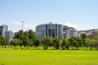 Inside La Carolina park in Quito, Ecuador. Beautiful green outdoors with some tall office buildings marking the city presence
