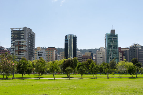 Inside La Carolina park in Quito, Ecuador. Beautiful green outdoors with some tall office buildings marking the city presence