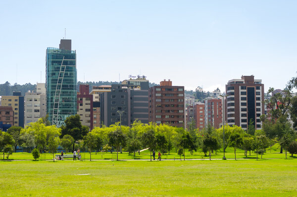Inside La Carolina park in Quito, Ecuador. Beautiful green outdoors with some tall office buildings marking the city presence