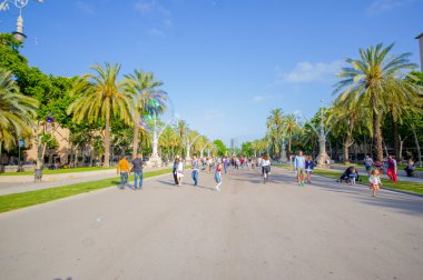 Beautiful wide avenue sorrounded by tall green palm trees and tourists enjoying a nice Barcelona sunny day