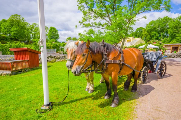 Paard en wagen in Gunnebo House, Gothemburg, Zweden — Stockfoto