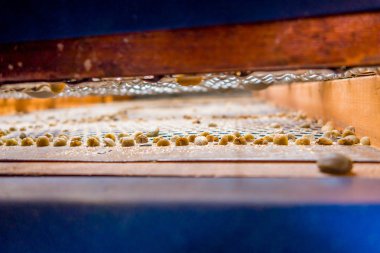 Kuru kahve çekirdekleri