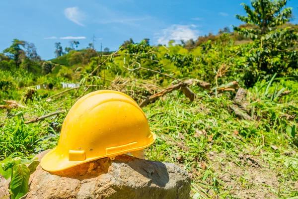 Yellow hard hat with a coffee plantation farm in the background — Stock Photo, Image