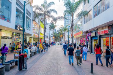 Kolombiya Şehir Manizales şehir