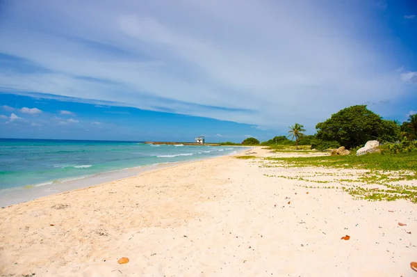 A disznó-öbölben, playa Giron, Kuba — Stock Fotó