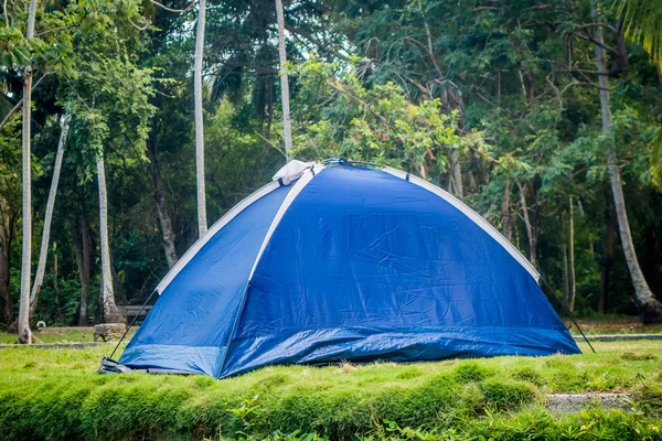 Namiot w camping obszarze, kolumbijskie lasu tropikalnego — Zdjęcie stockowe