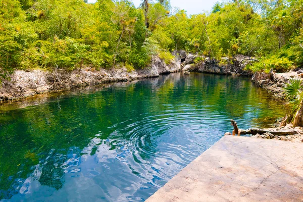 Бей з свиней, Куби - 9 вересня 2015: Туристичною визначною пам'яткою для купання в Cueva de los Peces, Приморський печера — стокове фото
