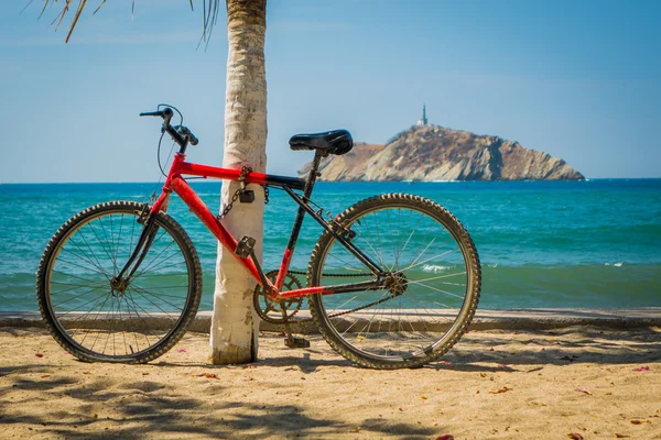 Röd cykel lutar på Palm på stranden — Stockfoto