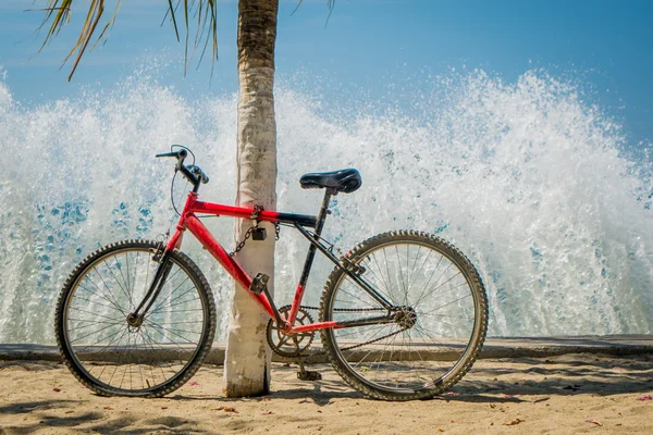 Olas salpicando bicicleta roja apoyada en la palmera en la playa — Foto de Stock