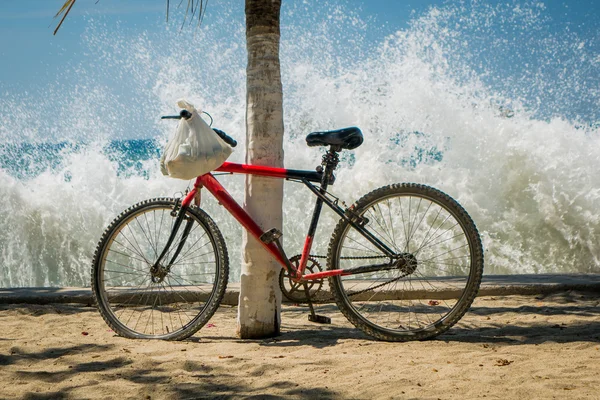 Κύματα εκτίναξη κόκκινου ποδηλάτου ακουμπά στον φοίνικα στην παραλία — Φωτογραφία Αρχείου