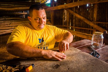 Vinales, Küba - 13 Eylül 2015: El yapımı puro canlı hazırlık yerel cratsman ve çiftçi tarafından