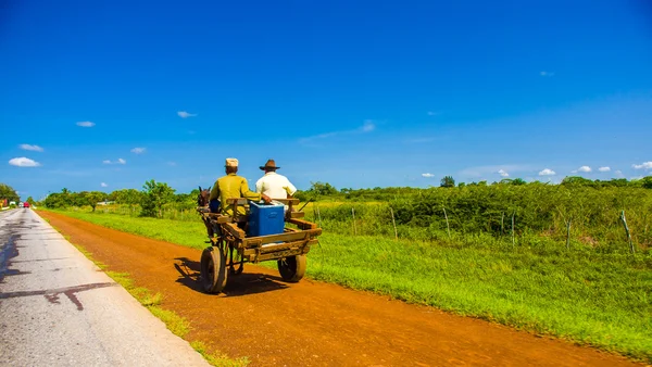 CAMINO CENTRAL, CUBA - SEPTIEMBRE 06, 2015: Caballo y carro en una calle rural, Cuba . — Foto de Stock