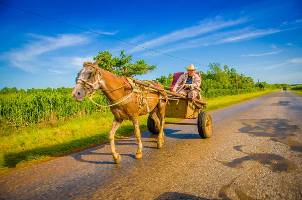 STRADA CENTRALE, CUBA - 06 SETTEMBRE 2015: Cavallo e carro su una strada rurale, Cuba . — Foto Stock