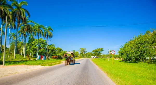 CAMINO CENTRAL, CUBA - SEPTIEMBRE 06, 2015: Caballo y carro en una calle rural, Cuba . —  Fotos de Stock