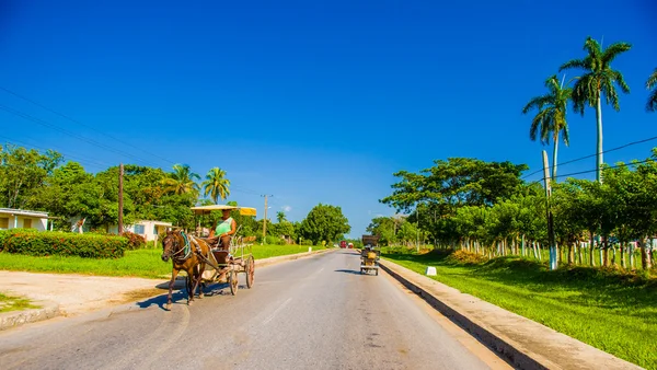 STRADA CENTRALE, CUBA - 06 SETTEMBRE 2015: Cavallo e carro su una strada rurale, Cuba . — Foto Stock