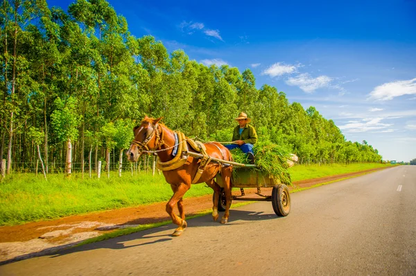 STRADA CENTRALE, CUBA - 06 SETTEMBRE 2015: Cavallo e carro su una strada rurale, Cuba . — Foto Stock