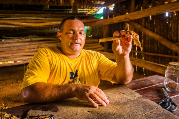 VINALES, CUBA - 13 DE SEPTIEMBRE DE 2015: Preparación en vivo de cigarros hechos a mano por el cráter y granjero local — Foto de Stock