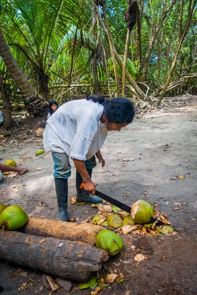 Peuple Kogi, groupe ethnique autochtone, Colombie — Photo