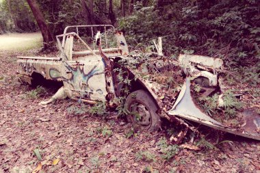 Ormanın ortasında terk edilmiş araba