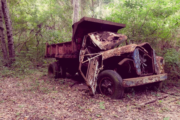 Abandoned truck in the jungle — Stock Photo, Image