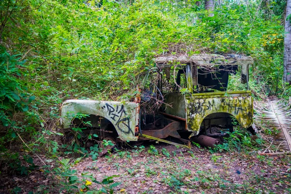 Покинута машина в джунглях — стокове фото