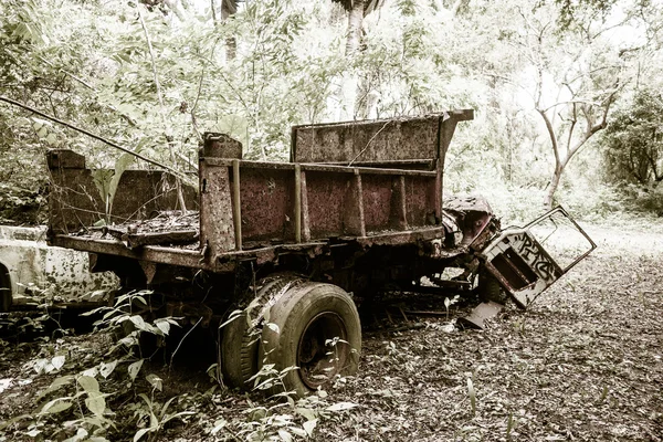 Camion abandonné dans la jungle — Photo