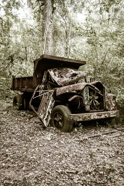 Брошенный грузовик в джунглях — стоковое фото
