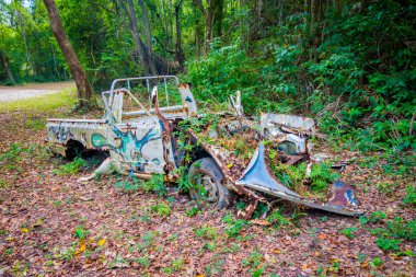 Ormanın ortasında terk edilmiş araba