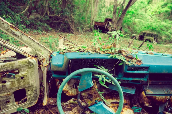 Abandoned car in the jungle — Stock Photo, Image