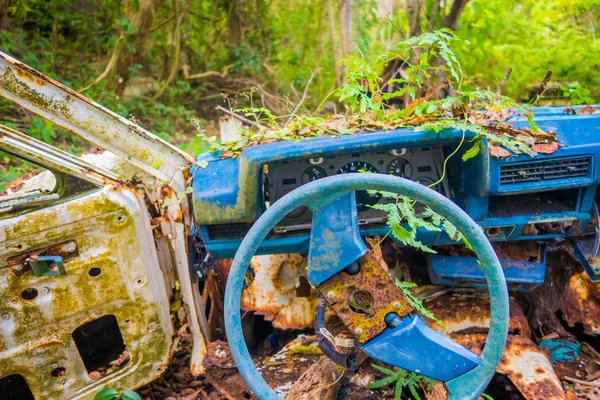 Εγκαταλελειμμένο αυτοκίνητο στη ζούγκλα — Φωτογραφία Αρχείου