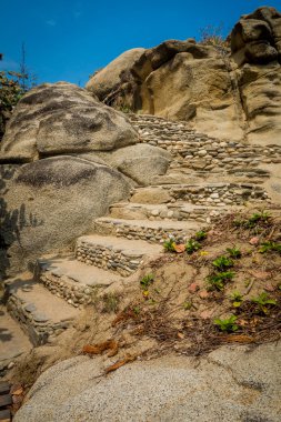 Steps in Tayrona National Park, Colombia
