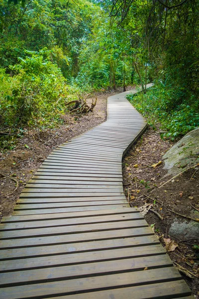 Tayrona parque nacional natural caminho a pé — Fotografia de Stock