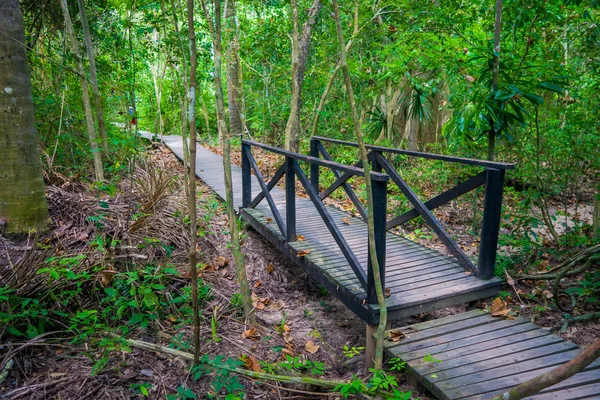 Parque natural tayrona sendero a pie — Foto de Stock