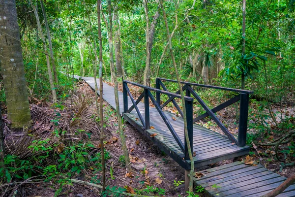 Tayrona natural national park walking path Stock Image