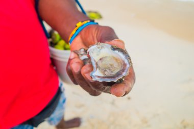 Playa Blanca, Kolombiya beach satıcı tarafından açılan taze deniz tarağı