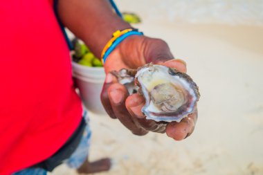 Playa Blanca, Kolombiya beach satıcı tarafından açılan taze deniz tarağı