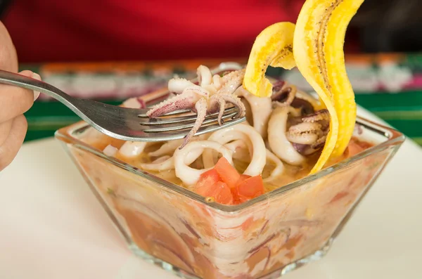 Ceviche calamari lezat, khas pelat Ekuador — Stok Foto