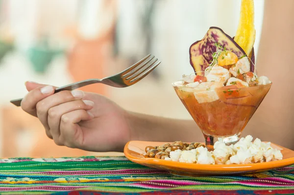 Delizioso ceviche di pesce, piatto tipico ecuadoriano — Foto Stock