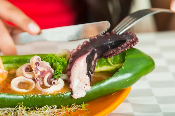 Hidangan laut eksotis dan elegan dengan udang, cumi, gurita . — Stok Foto