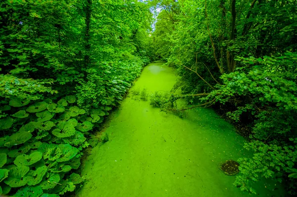 Брюгге, Бельгія - 11 серпня, 2015: зелений ходьбі шлях sorrounded рослинності всередині саду центрі — стокове фото