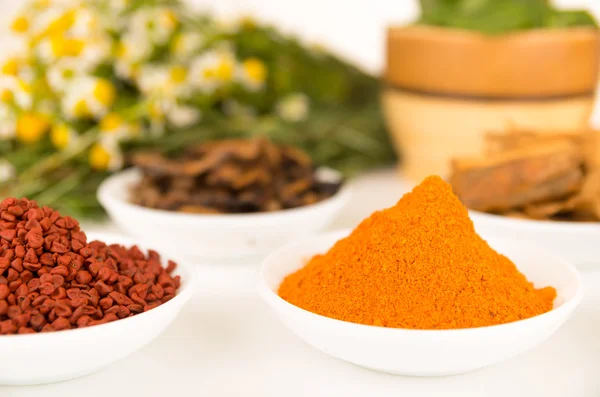 Beautiful colorful display of different spices green orange brown in white bowls, shot from above side angle, bright background — 스톡 사진