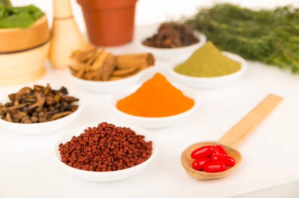 Beautiful delicate colorful display of different spices red orange brown in white bowls, shot from above side angle, plants and bright background — Stockfoto