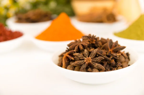 Beautiful delicate colorful display of different spices red orange brown in white bowls, shot from above side angle, plants and bright background — Stock Photo, Image