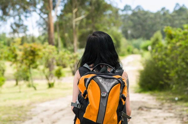 Adventurous brunette in hiking environment, walking away from camera looking back, forest background — Φωτογραφία Αρχείου