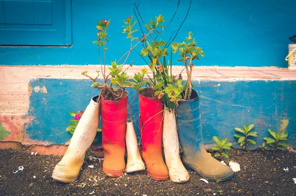 橡胶靴子与植物伸出, 站立在水泥表面, 加拉帕戈斯群岛, 厄瓜多尔 — 图库照片