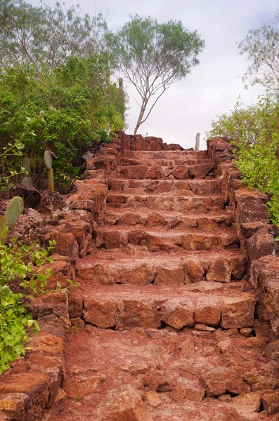 Weg im Freien mit schlammigen und felsigen Treppen, die zu einigen Bäumen führen — Stockfoto