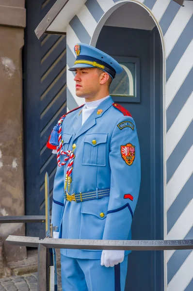 Prague, Czech Republic - 13 August, 2015: Palace guard on duty wearing his distinctive blue uniforms, white striped booth and weapon visible — 图库照片