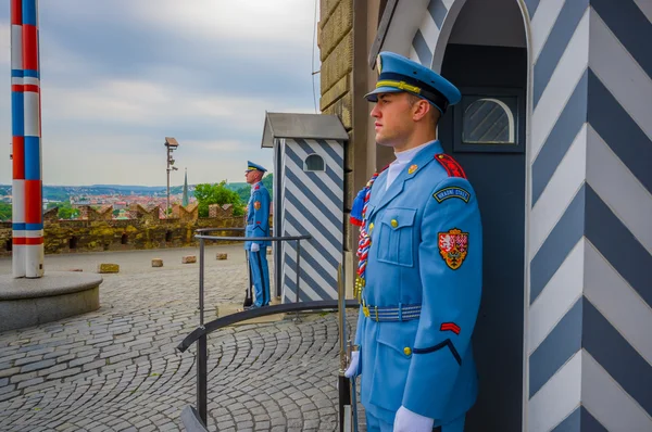 Prague, Tsjechië - 13 augustus, 2015: Palace dienstdoende dragen hun kenmerkende blauwe uniformen, witte gestreepte booth en wapen zichtbaar afschermingen — Stockfoto