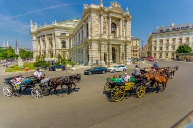 Vienna, Avusturya - 11 Ağustos, 2015: inanılmaz mimari Ayrıntılar, heykeller dekor ve inanılmaz güzel cephe sokaktan görüldüğü gibi Burgtheater bina